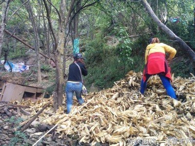 最新的《追风少年》语录摘抄