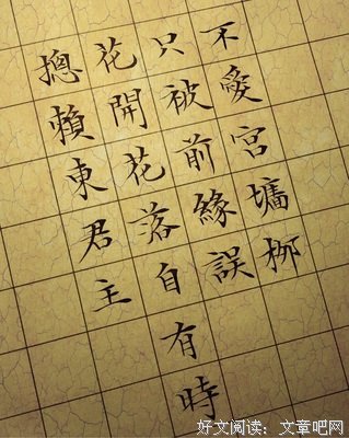 最全的《金枝欲孽》经典句子大全