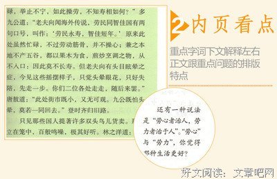 最经典的《镜花水月》好段摘抄