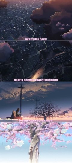 最全的《秒速5厘米》电影台词