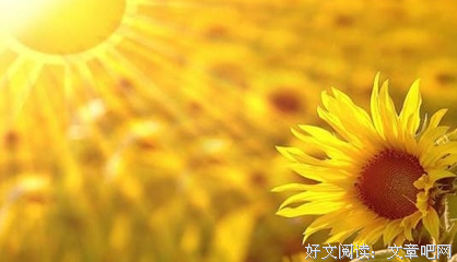 关于程水一的语句