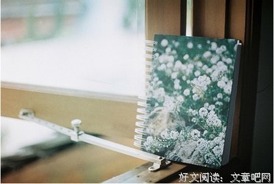 关于夏北北名言名句