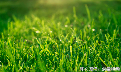 描写紊乱的语句摘抄