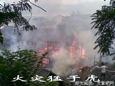 关于周子的格言
