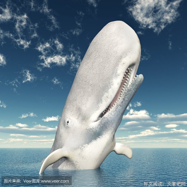白鲸的句子