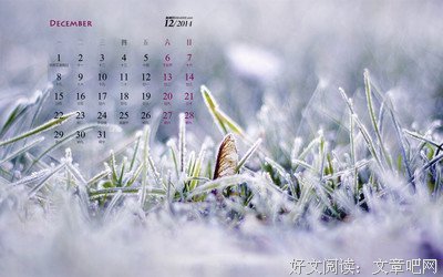 关于抱月的唯美语录
