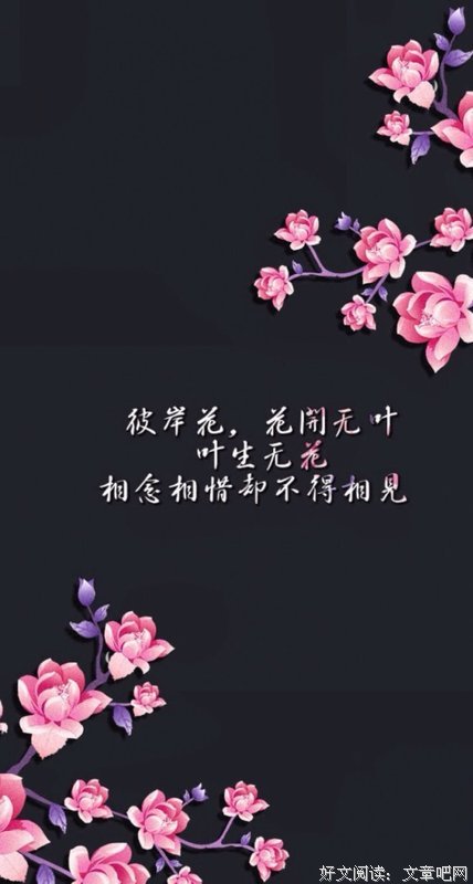 文艺的句子