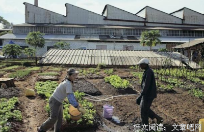 关于子都道寂寞子都道美好的句子