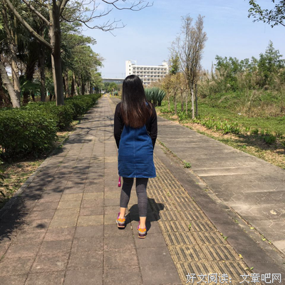 剽悍一只猫精彩语录