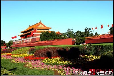 忘记呼吸的猫名言大全