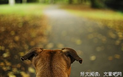 男人允许你碰这三个东西时，就是真心喜欢你了！