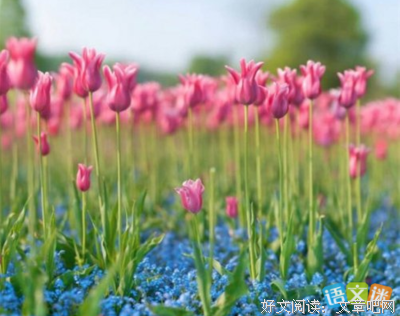 最新的《玛丽在隔壁》小说摘抄大全