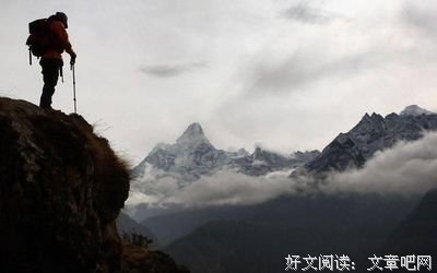 最新的《肥鸟当自强》小说摘抄