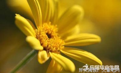 《贞观大闲人》语录摘抄