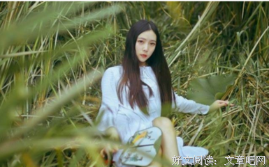 最全的《送你一匹马》唯美语录