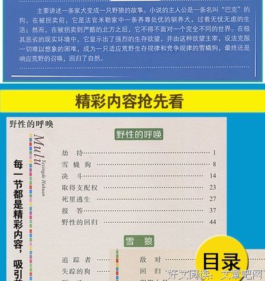 最经典的《野性的呼唤》经典语录大全