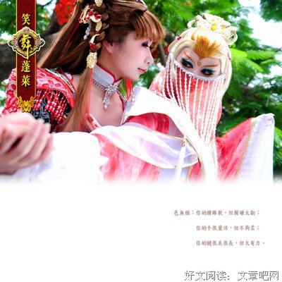 最全的《霹雳布袋戏》小说书摘