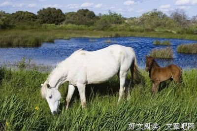 风物样不十子年秋色优美的句子