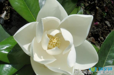 有关浅眸怎深藏.的句子