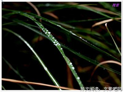清明雨上经典名句