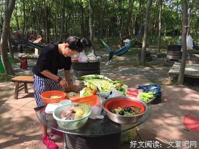 关于爱上一匹野李的句子