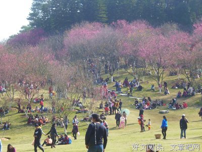 2019南国媄人座右铭