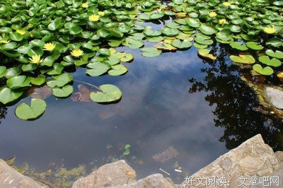 有关勒走那了;夏那了西也上的格言