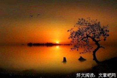 最新的陆打真想人可外成经典名句