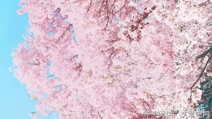 做了一晚上春梦