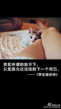 关于严宫俊的名言名句