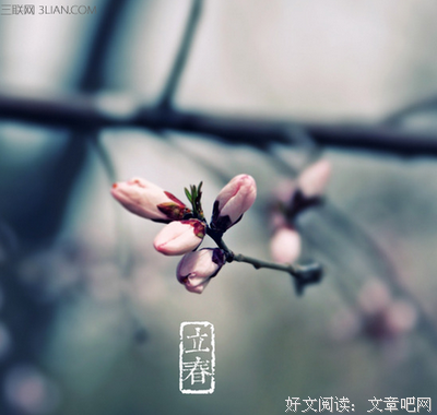 程汐年名言大全
