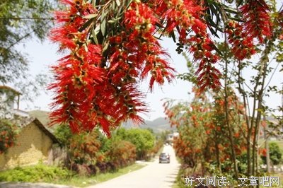 关于古定一名言