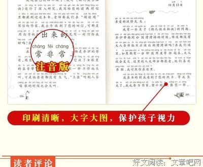 《1930来的先生》小说摘抄大全