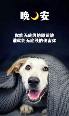 最全的《向着光亮那方》经典句子