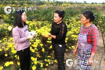 最全的《当幸福来敲门》好段摘抄