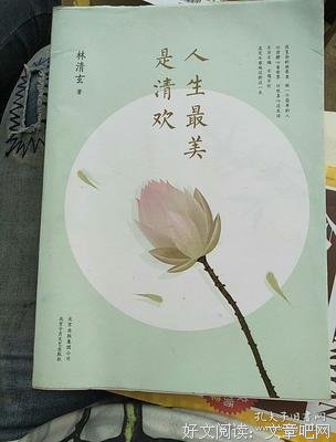 最经典的《人生最美是清欢》经典的句子