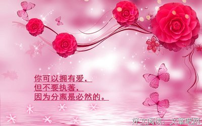 关于林生的唯美语录