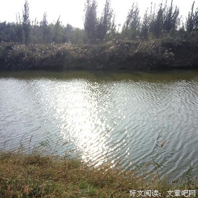15条关于阿时的经典语句