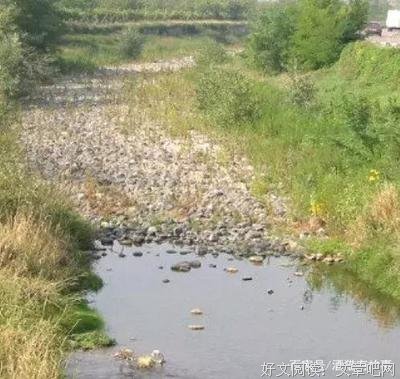 15条关于阿玛的经典语句