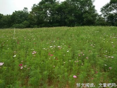 关于睚眦必报的名言