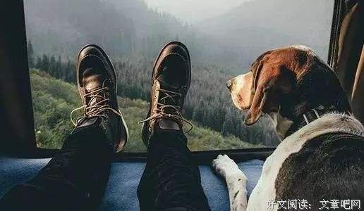 所有关系，都是这样变淡的 