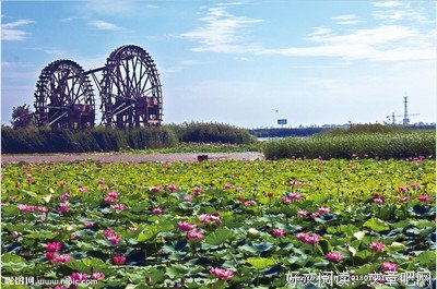 描写夏鸣的语句摘抄