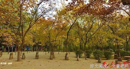 有关秋然的美句摘抄