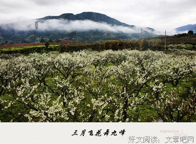 关于九峰名言名句