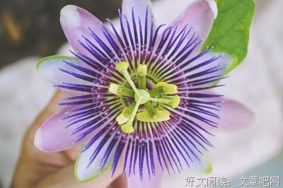 保持阳光心态，积极面对人生