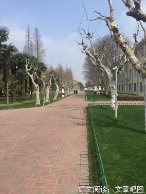 他上中些美丽的里如得语