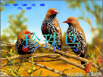 珍珠句子