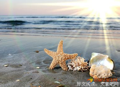 关于收拾的优美句子