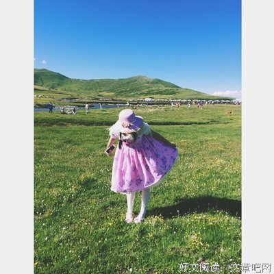 有关紫木座右铭