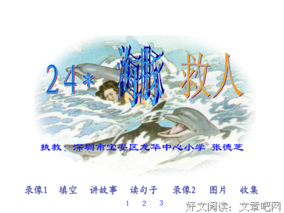 最经典的大海豚名言